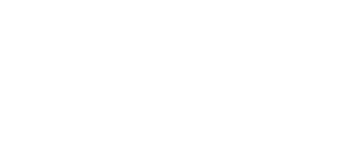 BCG-logo--white